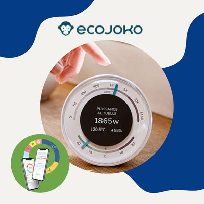 Assistant virtuel d'économie d'énergie